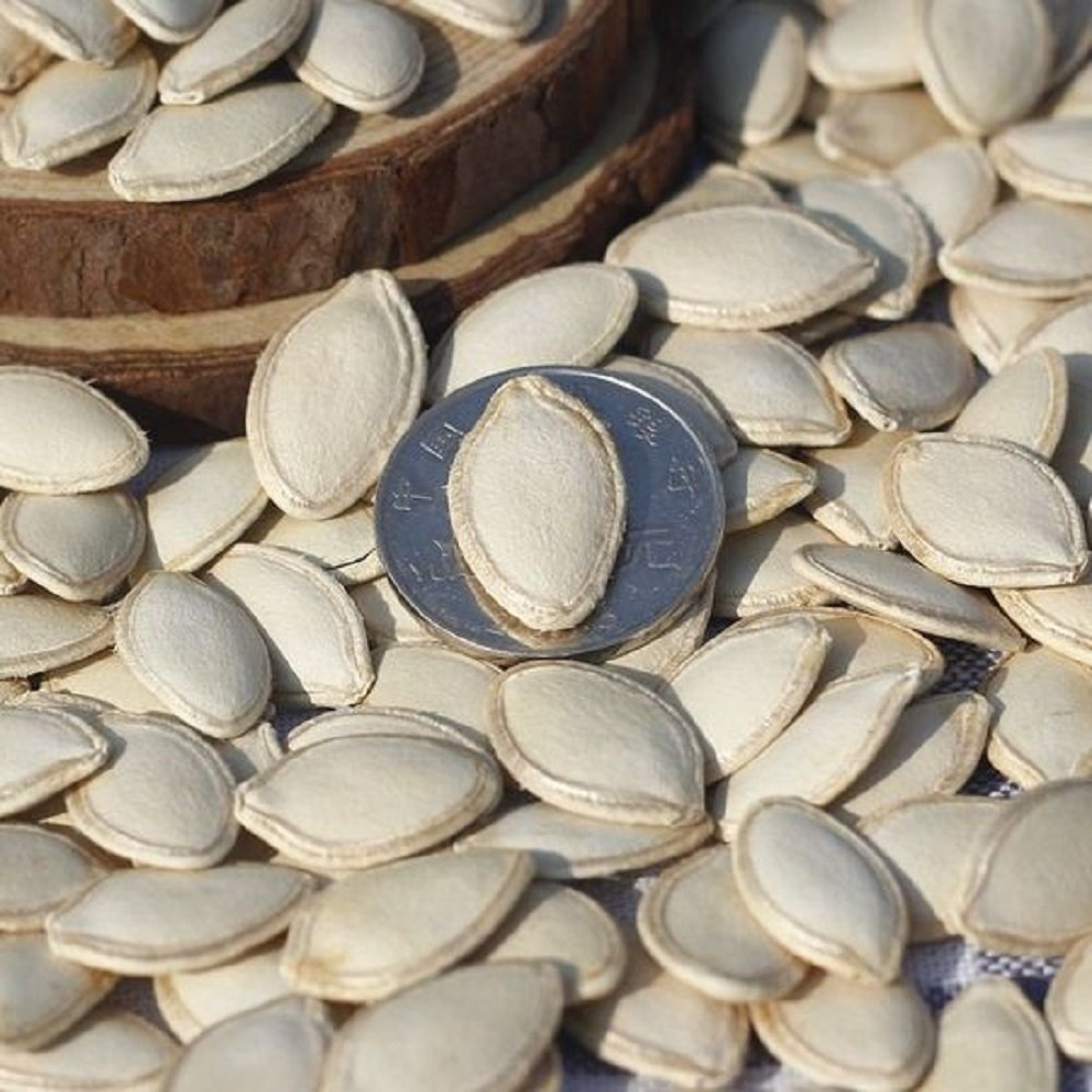 pumpkin seeds pumpkin seeds