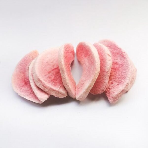 Premium Freeze Dried Peach Slices - OEM Wholesale Supplier