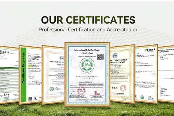 Services services 004