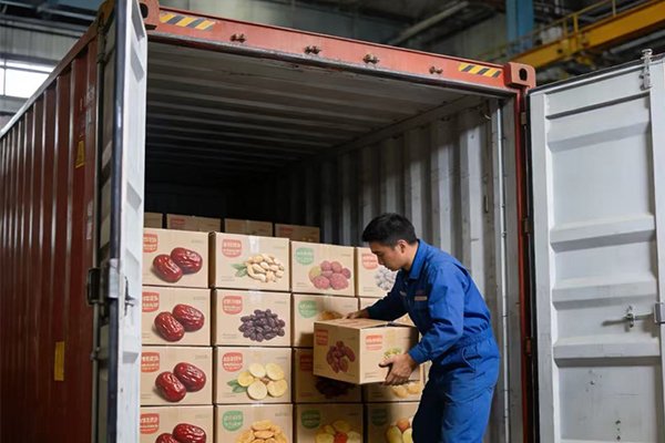 Services services 005