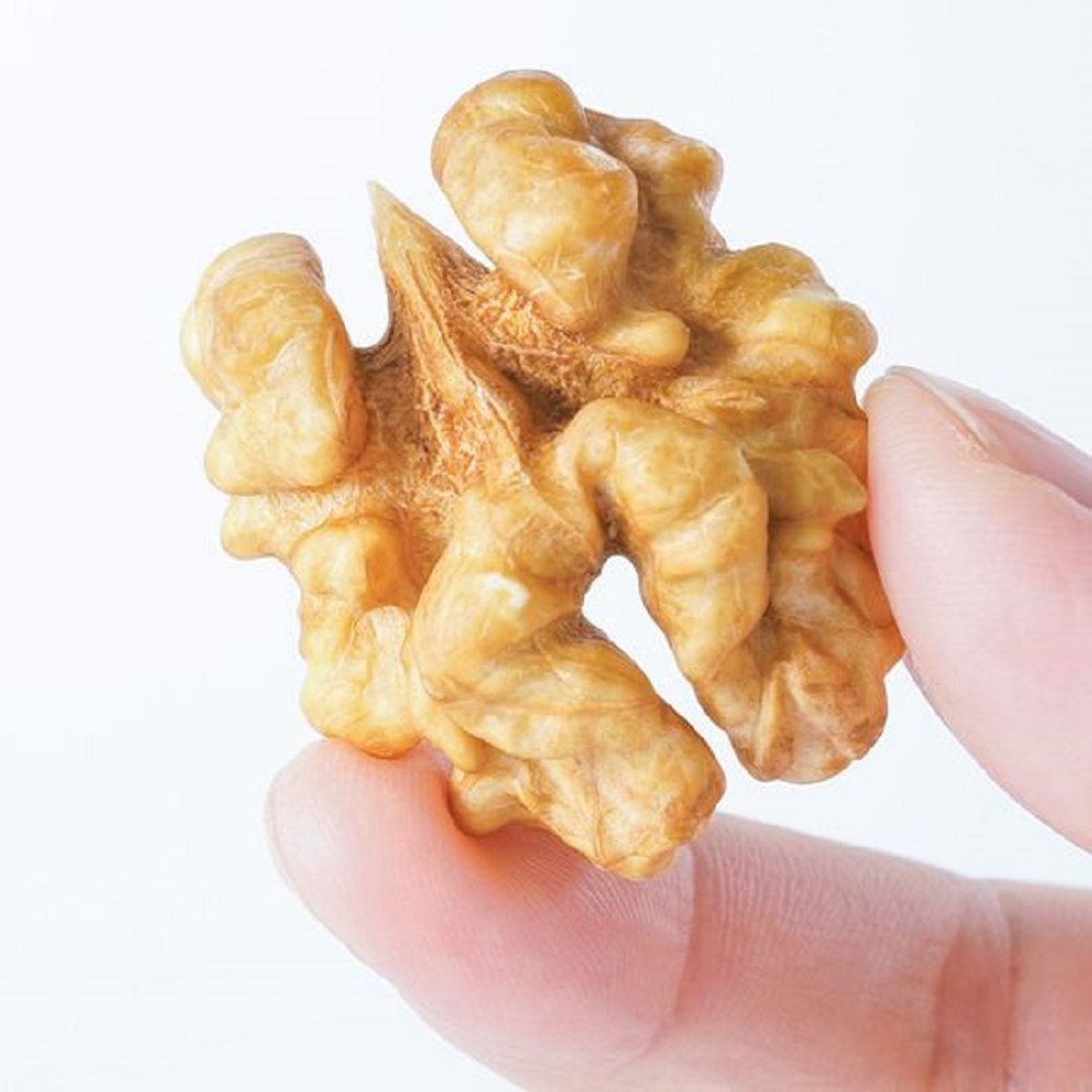 shelled walnuts shelled walnuts